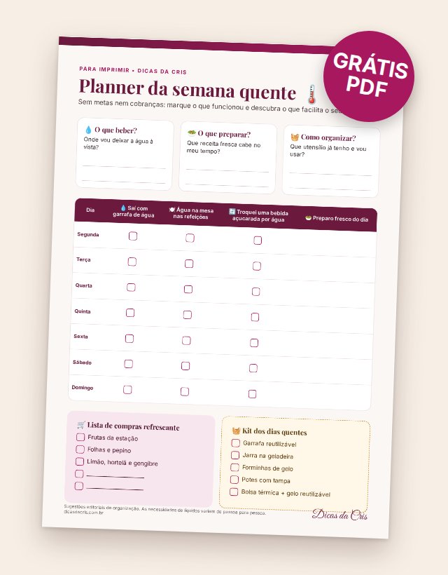 Prévia do PDF: Planner da semana quente